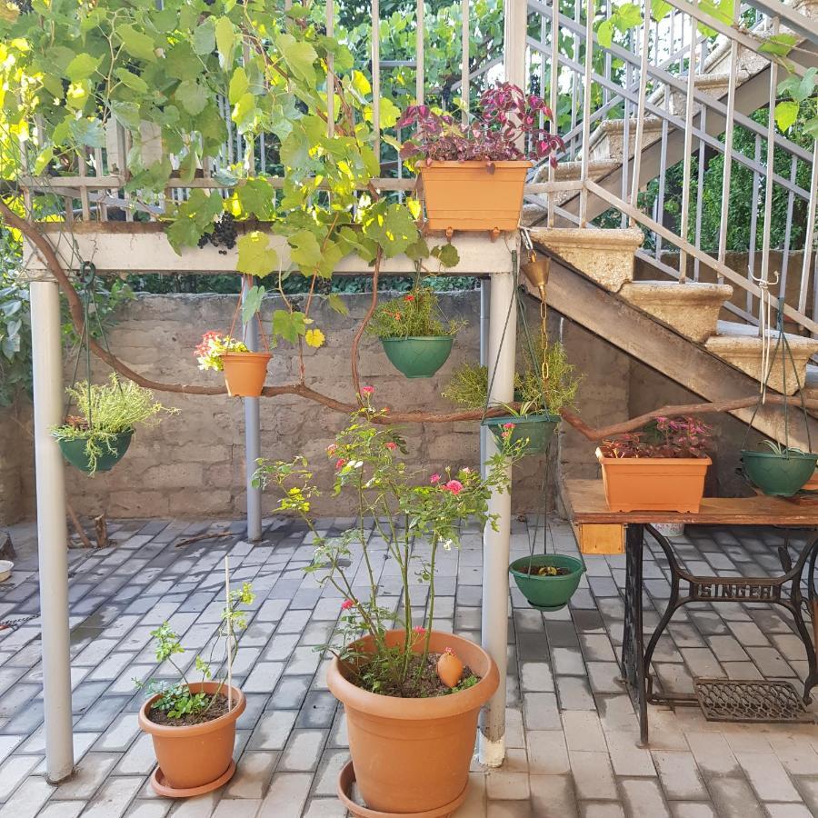 Домик У Куры Hotel Tbilisi Buitenkant foto